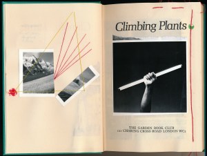 IMG_20131106_0014_NEW