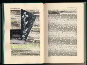 IMG_20131106_0019_NEW