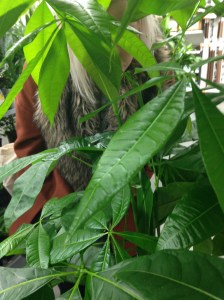 Photo 04-12-2013 15 54 53