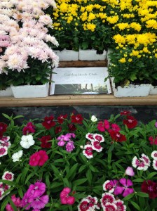 Photo 20-09-2014 13 47 28