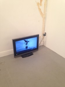 Photo 29-08-2014 19 43 47