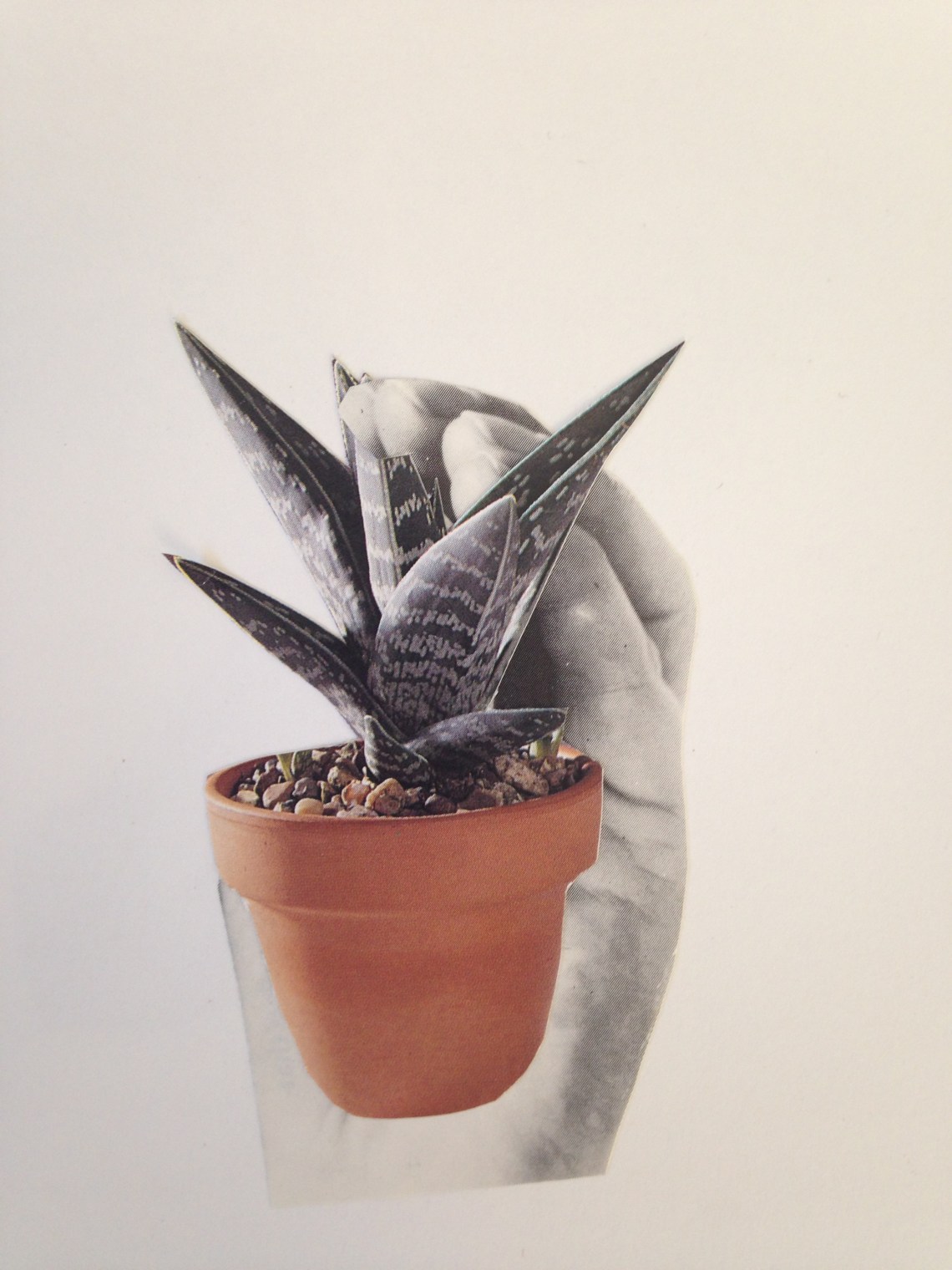 Photo 10-03-2014 17 02 04 (1)