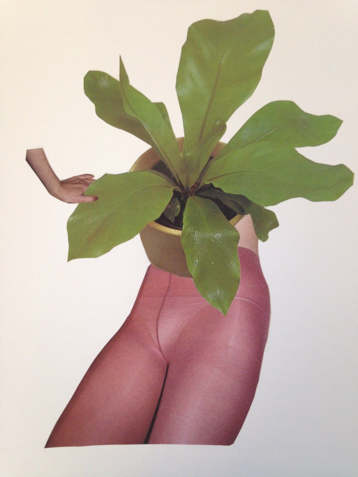 Photo 10-03-2014 17 02 12 (1)